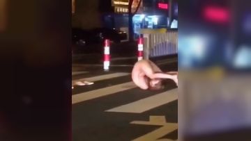 《疯狂抖音》美新娘5 美女喝高了洒酒疯耍的点大当街脱光光摆pose还跟jc动手(28)