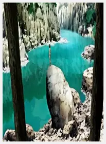 ばにぃうぉ～か