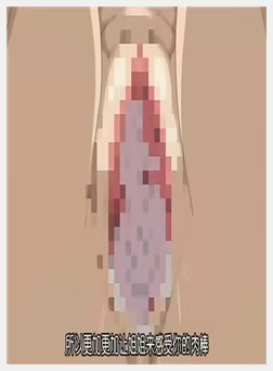 姉汁2 THE ANIMATION ～白川姉妹におまかせ～