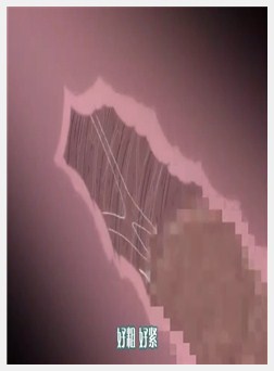 装甲骑女イリス Vol.02 娼馆の女戦士