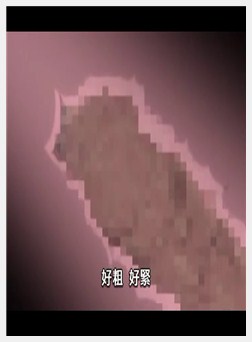 装甲骑女イリス VOLUME 02 娼馆の女戦士