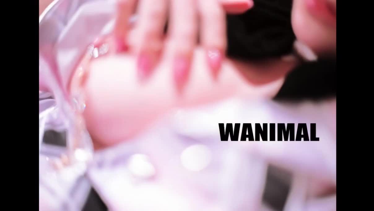 王动2019年1月作品_HD